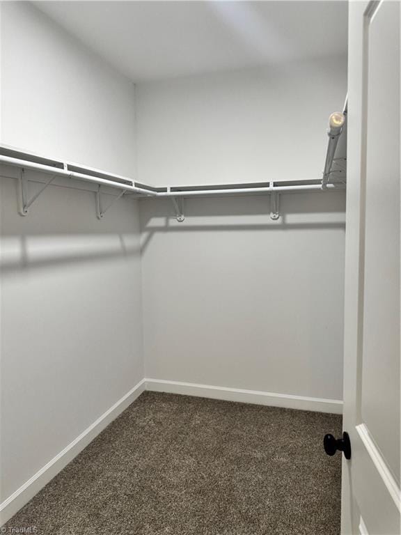 spacious closet with dark carpet