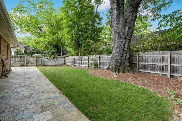 view of yard with a patio