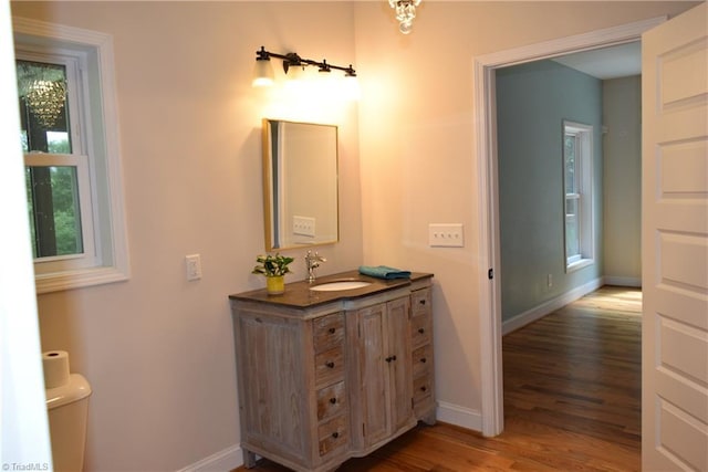 5170 Tabernacle School Rd, Asheboro, NC 27205 - bathroom with wood finished floors, vanity, and healthy amount of natural light