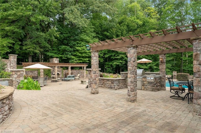 view of patio / terrace with a pergola and an outdoor kitchen