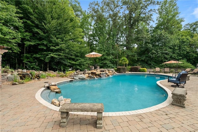 view of pool featuring a patio