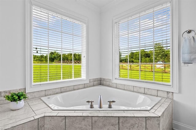 7103 Ludgate Rd, Gibsonville, NC 27249 - full bath with healthy amount of natural light, a garden tub, and ornamental molding