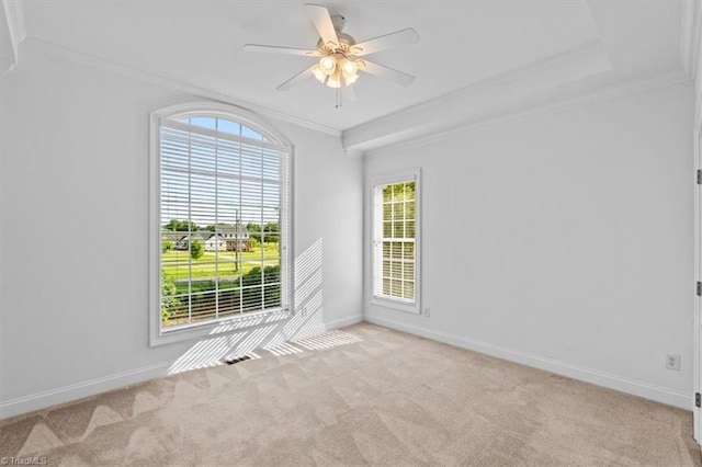 7103 Ludgate Rd, Gibsonville, NC 27249 - spare room featuring ornamental molding, healthy amount of natural light, light colored carpet, and ceiling fan