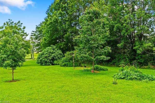 7103 Ludgate Rd, Gibsonville, NC 27249 - view of grassy yard