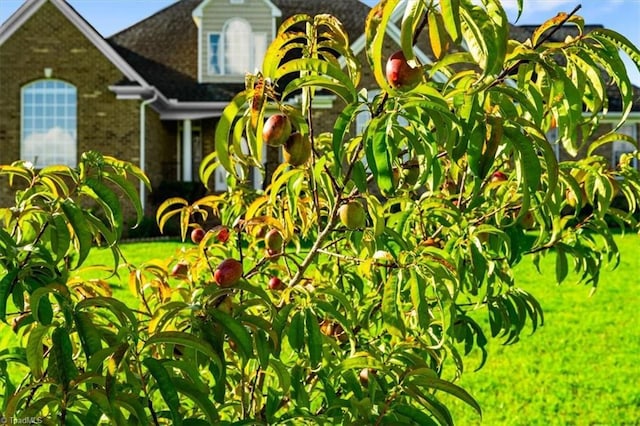 7103 Ludgate Rd, Gibsonville, NC 27249 - not applicable space