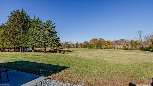 view of yard