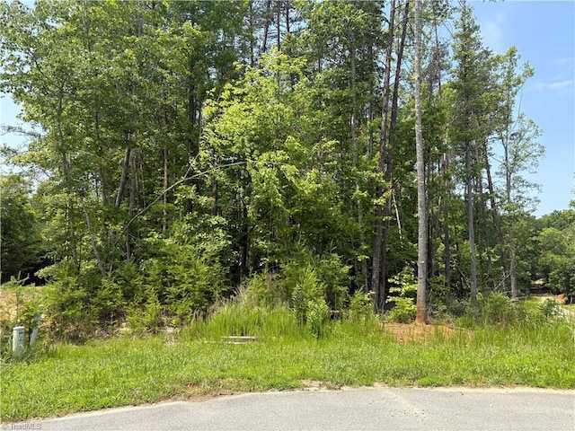 357 Pearman Rd, Summerfield, NC 27358