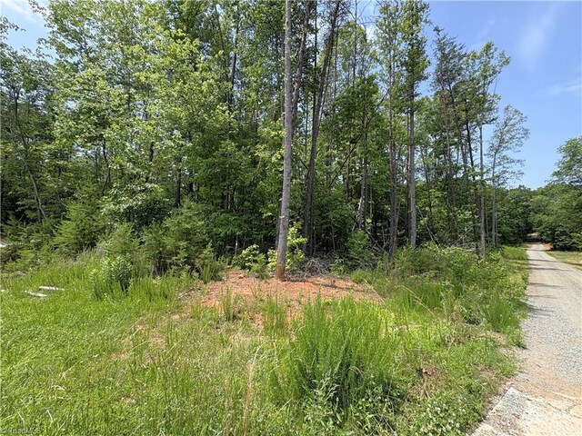 357 Pearman Rd, Summerfield, NC 27358