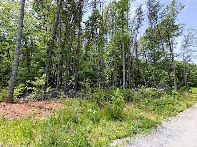 357 Pearman Rd, Summerfield, NC 27358