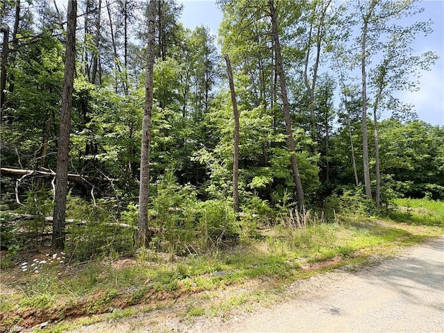 357 Pearman Rd, Summerfield, NC 27358