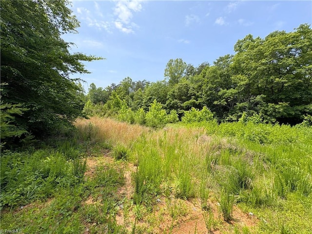 357 Pearman Rd, Summerfield, NC 27358