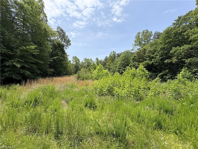 357 Pearman Rd, Summerfield, NC 27358