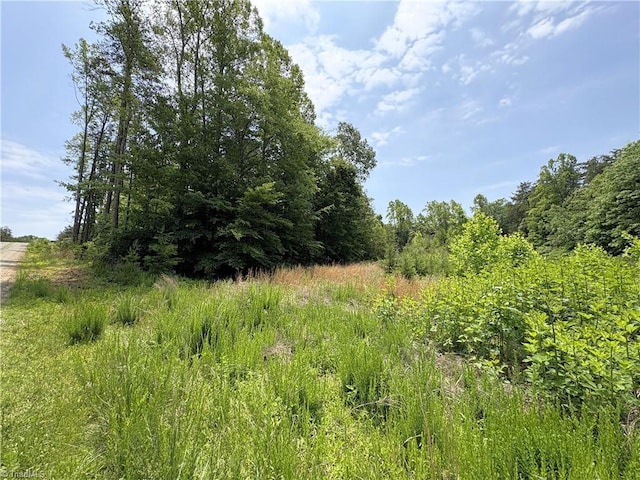 357 Pearman Rd, Summerfield, NC 27358