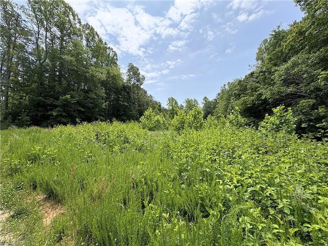357 Pearman Rd, Summerfield, NC 27358