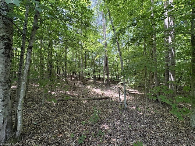 357 Pearman Rd, Summerfield, NC 27358