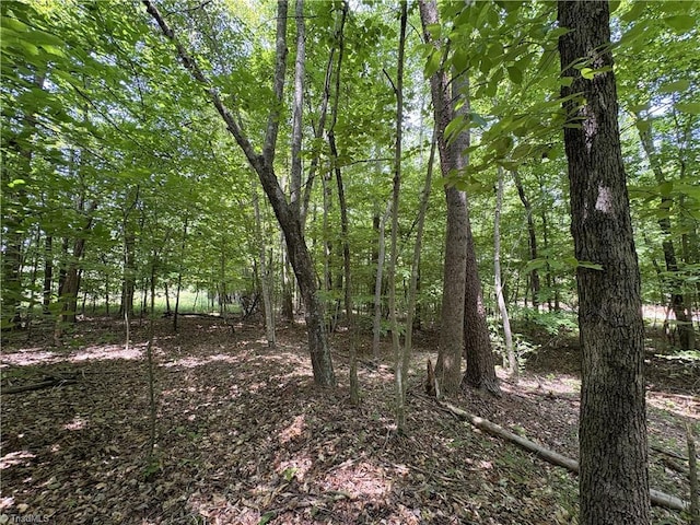 357 Pearman Rd, Summerfield, NC 27358