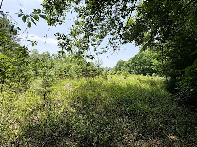357 Pearman Rd, Summerfield, NC 27358
