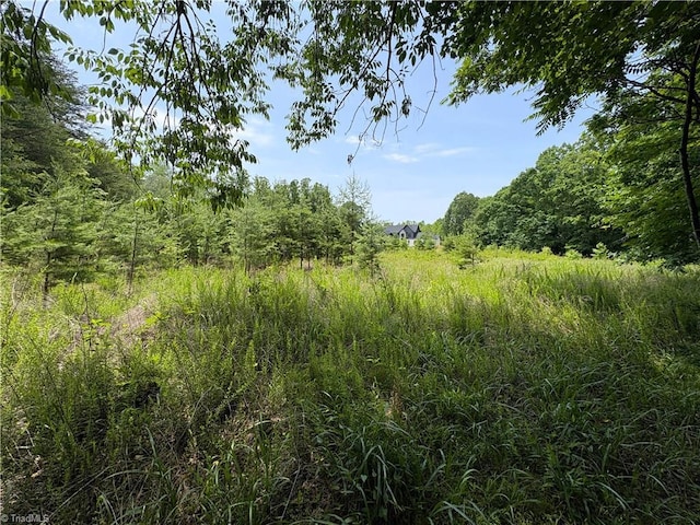 357 Pearman Rd, Summerfield, NC 27358