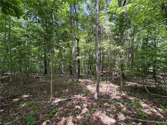 357 Pearman Rd, Summerfield, NC 27358