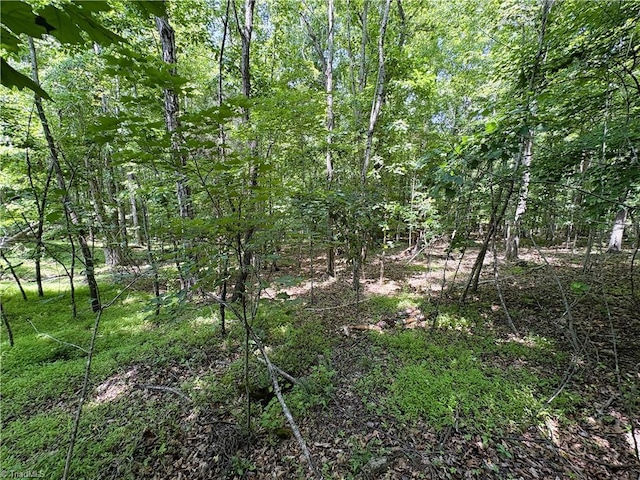 357 Pearman Rd, Summerfield, NC 27358