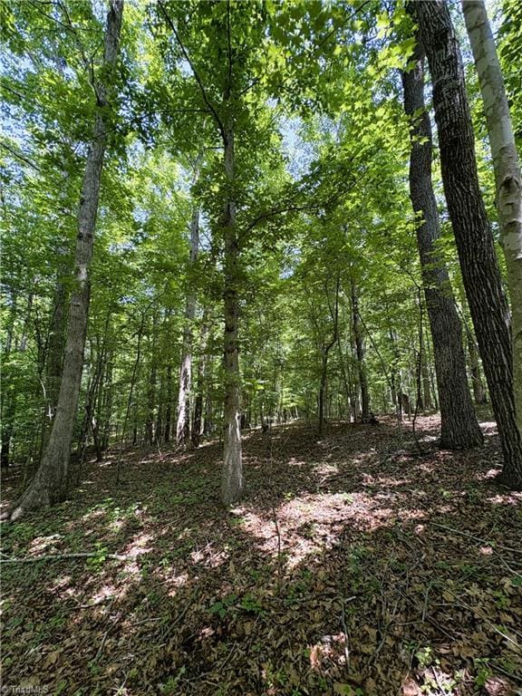 357 Pearman Rd, Summerfield, NC 27358