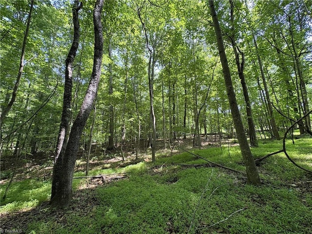 357 Pearman Rd, Summerfield, NC 27358