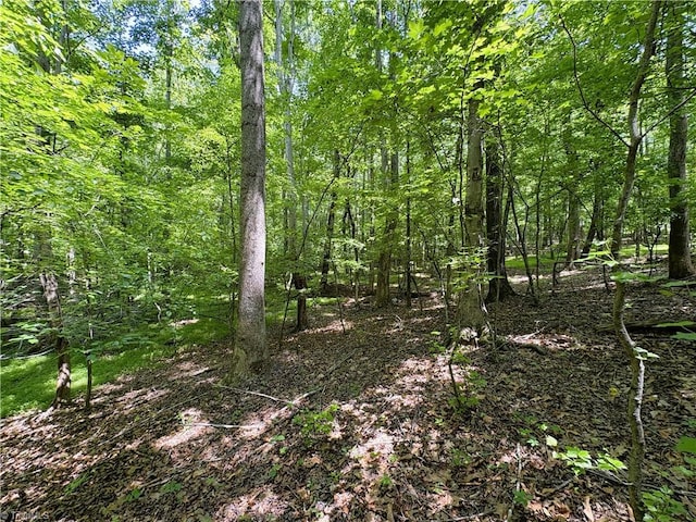 357 Pearman Rd, Summerfield, NC 27358