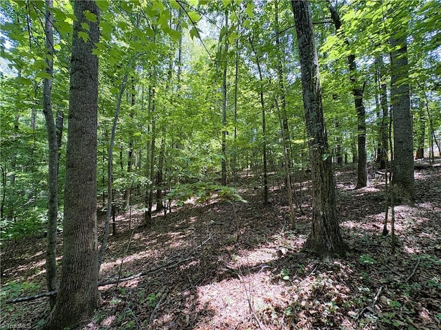 357 Pearman Rd, Summerfield, NC 27358
