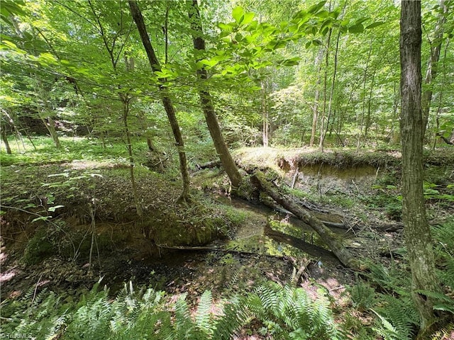 357 Pearman Rd, Summerfield, NC 27358