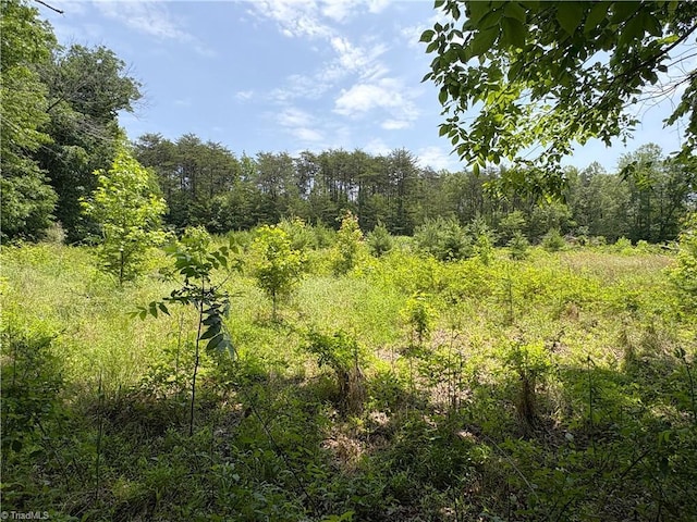 357 Pearman Rd, Summerfield, NC 27358