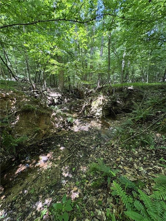 357 Pearman Rd, Summerfield, NC 27358
