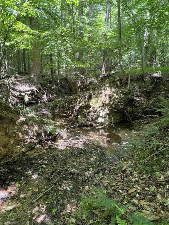 357 Pearman Rd, Summerfield, NC 27358