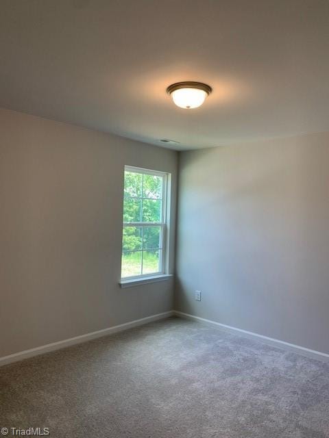 spare room featuring carpet flooring