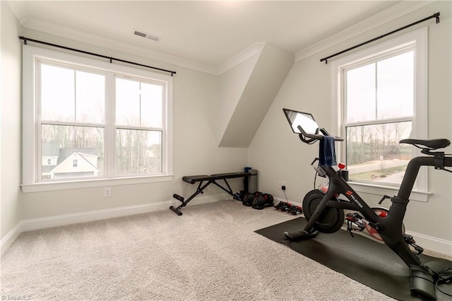 workout area featuring a wealth of natural light, visible vents, crown molding, and carpet