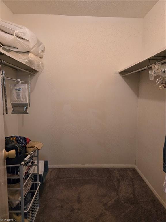 2205 Sunderland Rd Unit 107D, Winston-Salem, NC 27103 - spacious closet featuring carpet flooring