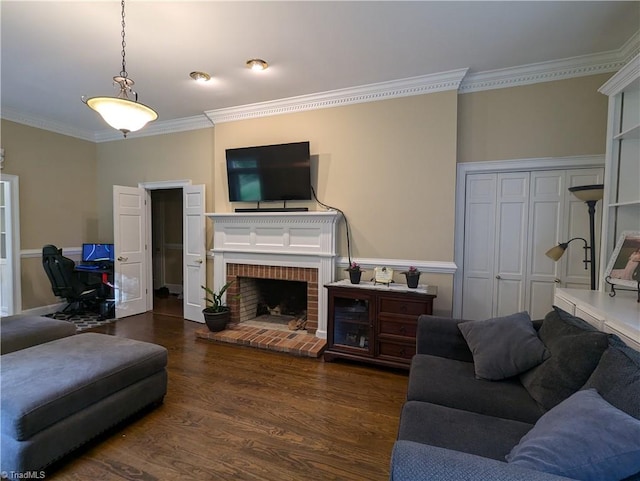 living room with crown molding, a fireplace, and dark hardwood / wood-style floors