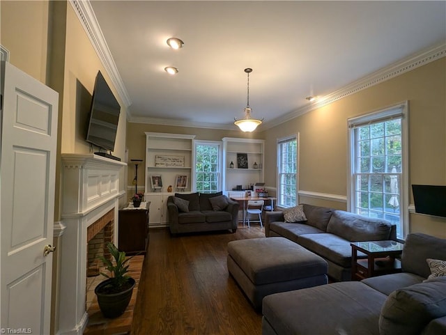 living room featuring ornamental molding and dark wood-type flooring