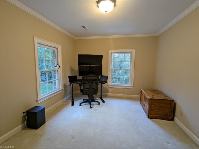 carpeted office featuring ornamental molding