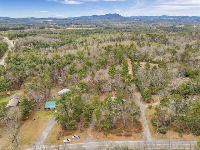 birds eye view of property featuring a mountain view