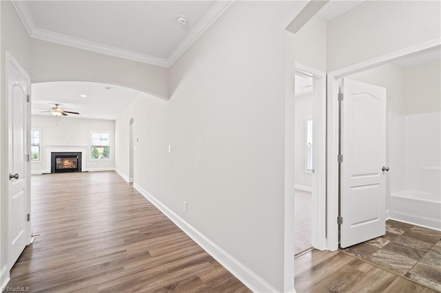 hallway featuring wood-type flooring and ornamental molding