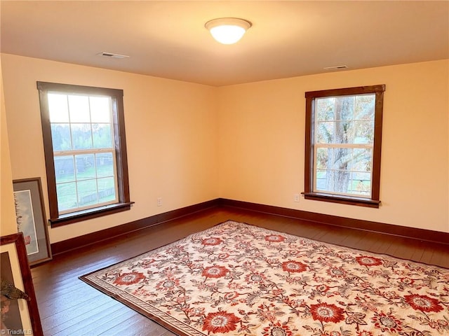 empty room featuring a wealth of natural light and wood-type flooring