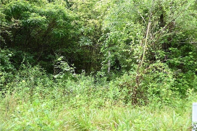 0 Waddells Ferry Rd, Seagrove, NC 27341