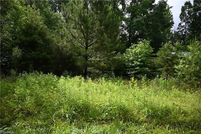 0 Waddells Ferry Rd, Seagrove, NC 27341