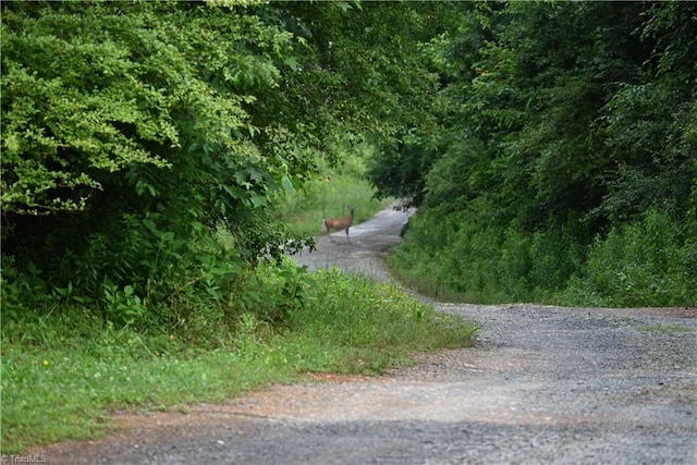 0 Waddells Ferry Rd, Seagrove, NC 27341