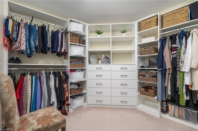 spacious closet with carpet