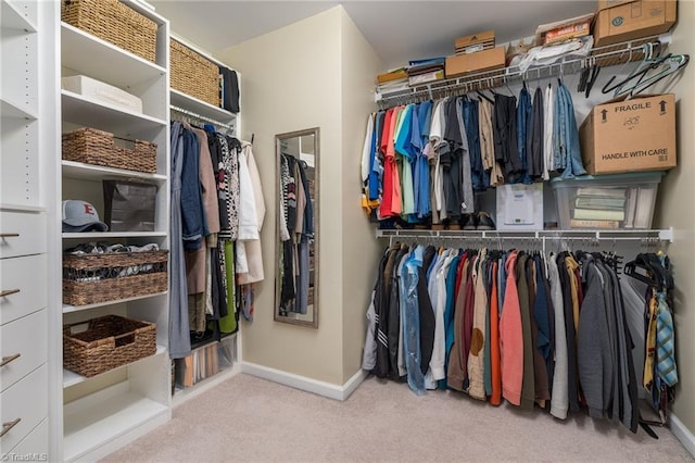 spacious closet with carpet
