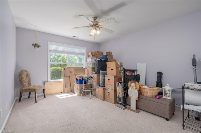 storage with ceiling fan