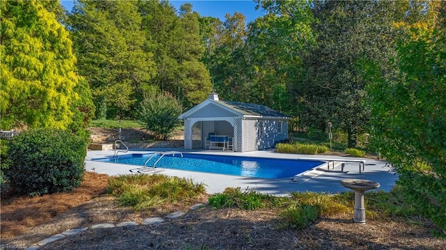 view of pool with a patio and a diving board