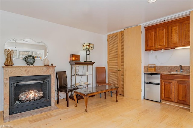 kitchen with a fireplace, appliances with stainless steel finishes, light hardwood / wood-style floors, and sink