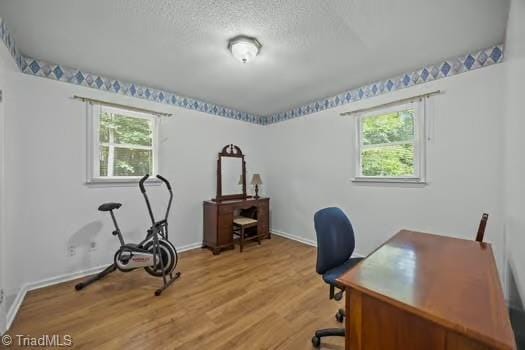 1630 Ploughboy Ln, Winston-Salem, NC 27103 - office area featuring plenty of natural light, light wood-style flooring, and a textured ceiling